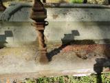 image of grave number 560645